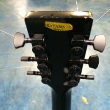 No3. ESP 助六 | Ken Yokoyama(Band) OFFICIAL SITE