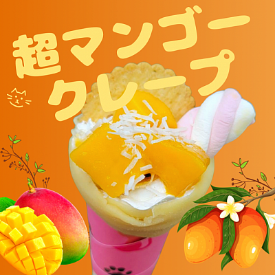 サウマロカフェ ニュース