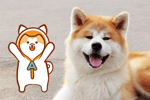 一般社団法人秋田犬ツーリズム | こだわりAKITAセレクトショップ