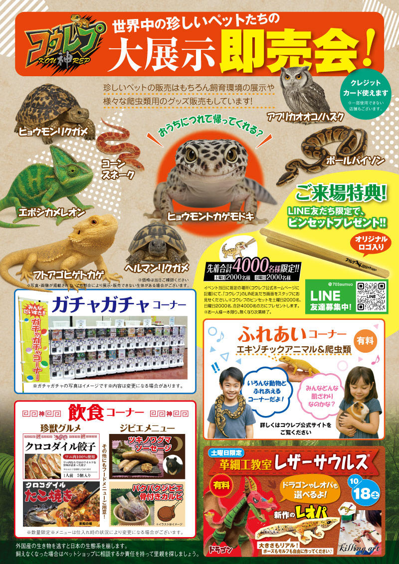 ごま様専用【引き取り限定】爬虫類飼育セット（フトアゴ、レオパ）兵庫