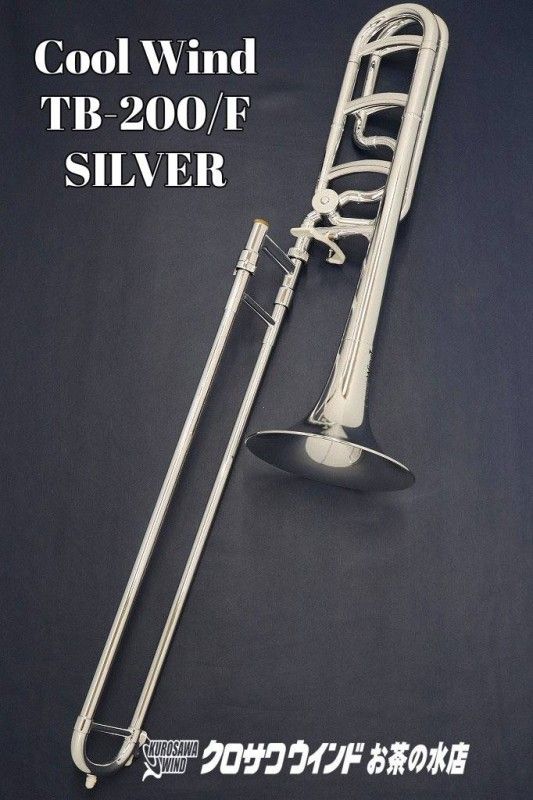 音質最高のテナートロンボーンLINE1000劣化比較的少ないけどスライドが