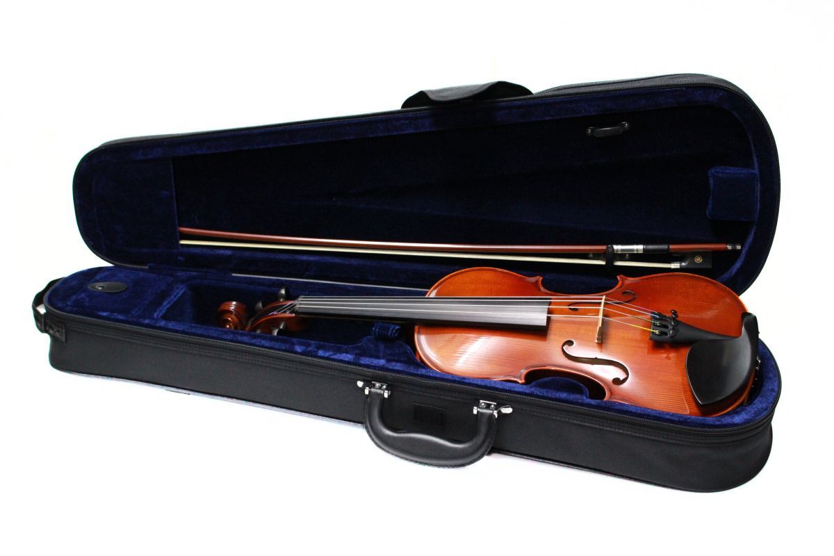 Reghin 3/4サイズ | 【クロサワ楽器店オンラインショップ】いい楽器と