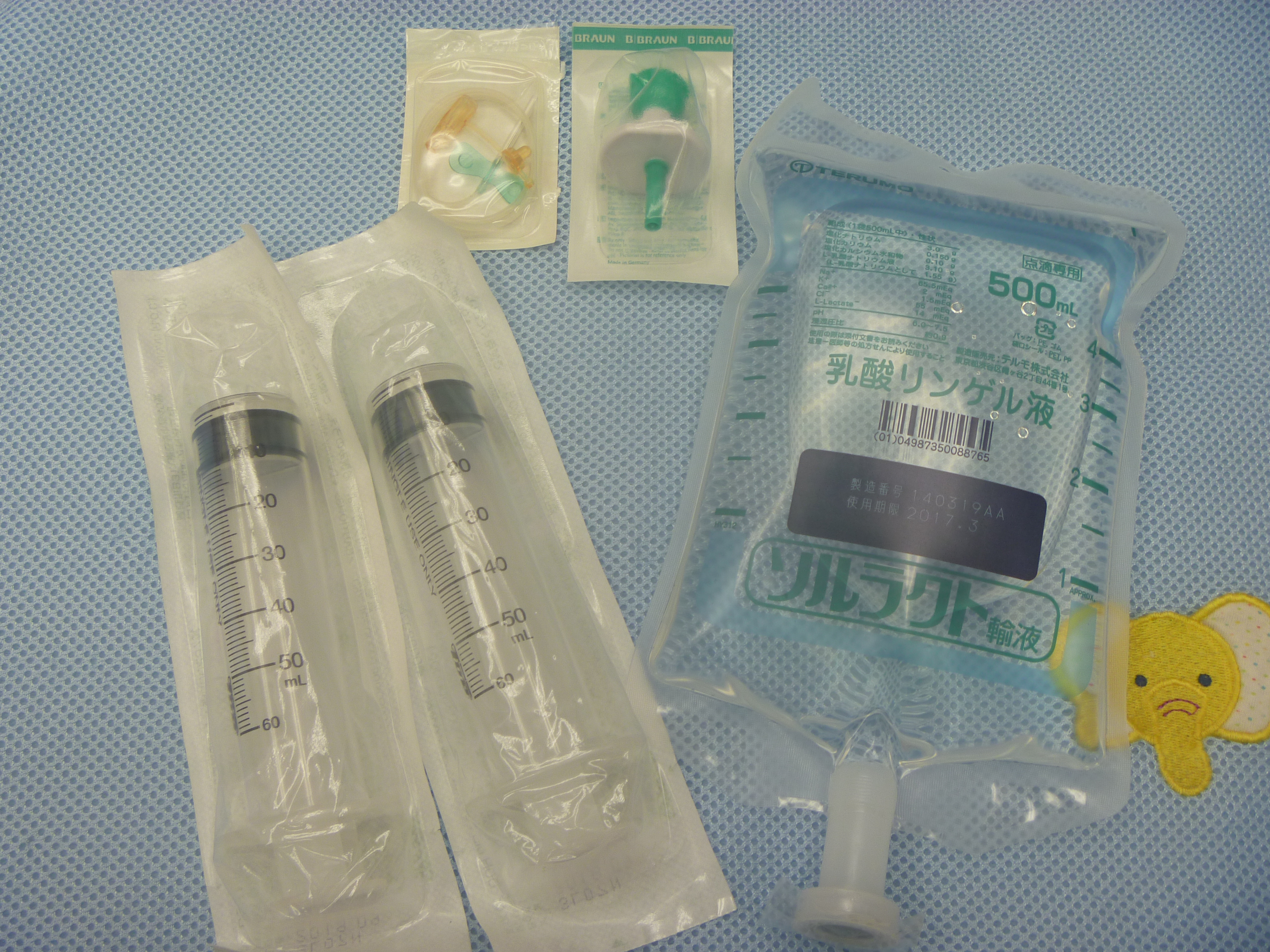 自宅で行う皮下点滴のやり方！ - 千葉県船橋市宮本のくわじま動物病院