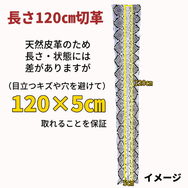 ヘビ革/赤（赤色・アップル・RED・朱色）の革素材を販売 – レザー