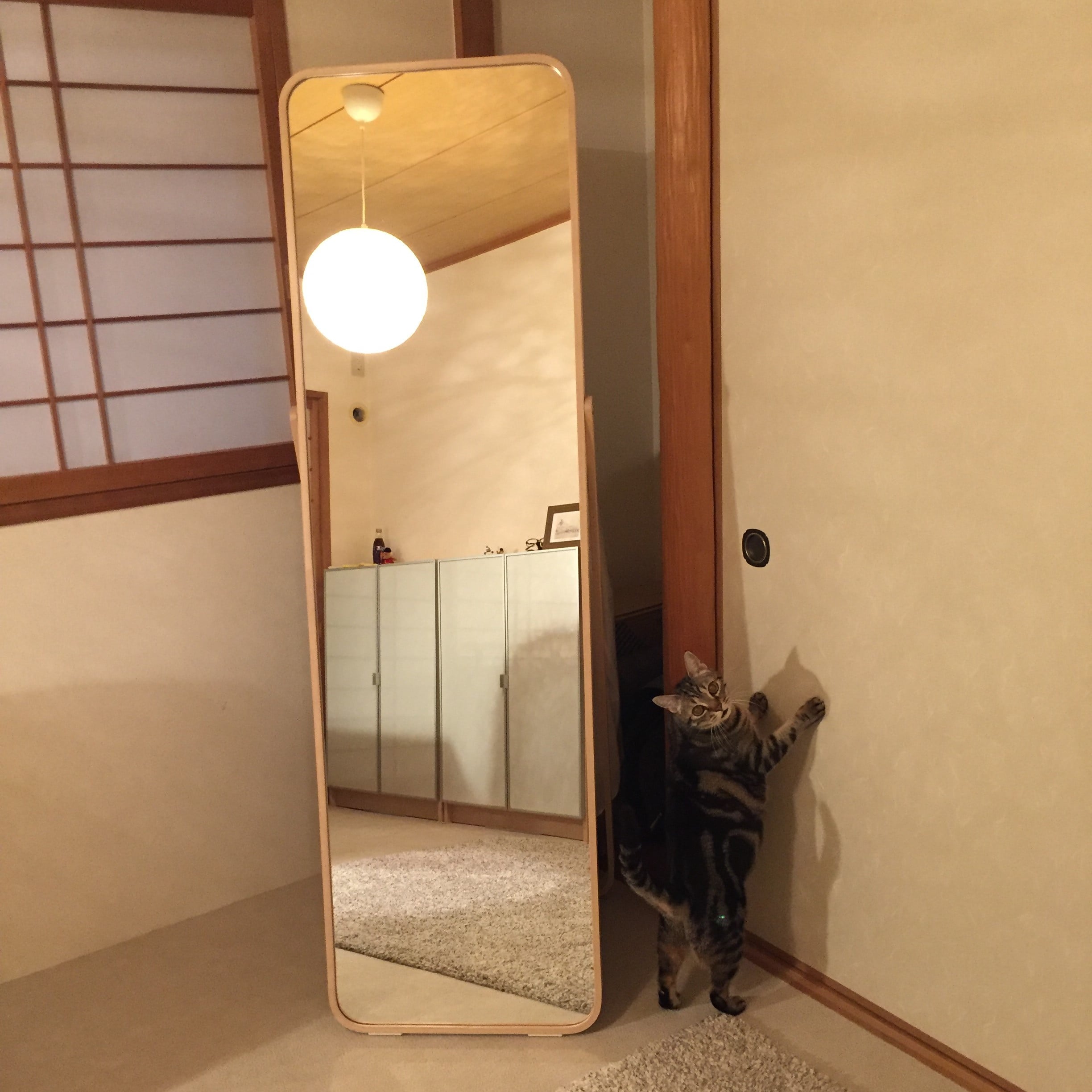 IKEAのスタンドミラー | LEE