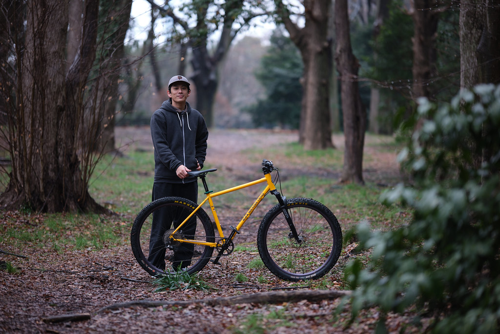 alpina fork アルピナ ピスト alpina fork アルピナ ピスト