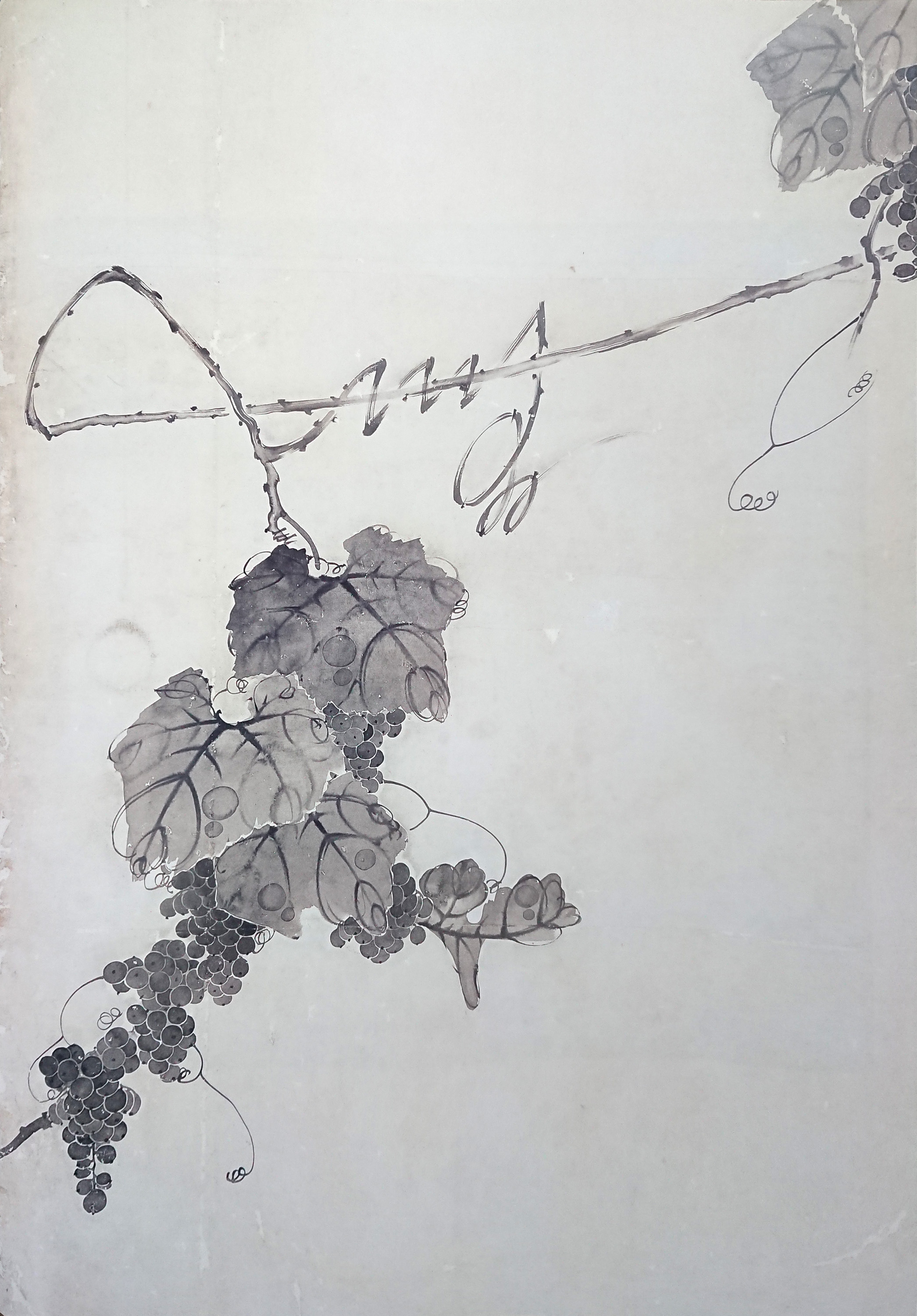 伊藤若冲： 葡萄小禽図襖絵 ｜相国寺展・第4章「新奇歓迎！古画礼讃