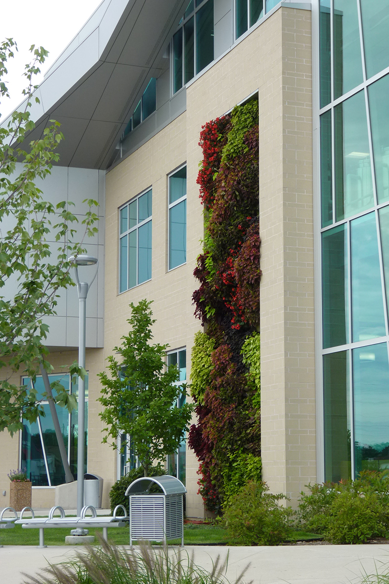 KVCC Outdoor Living Wall - LiveWall Green Wall System