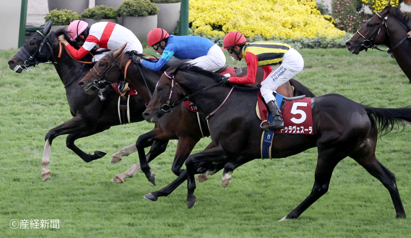 アグネスデジタル他17頭 00年 マイルCS 現地的中単勝馬券 人気薄・貴重