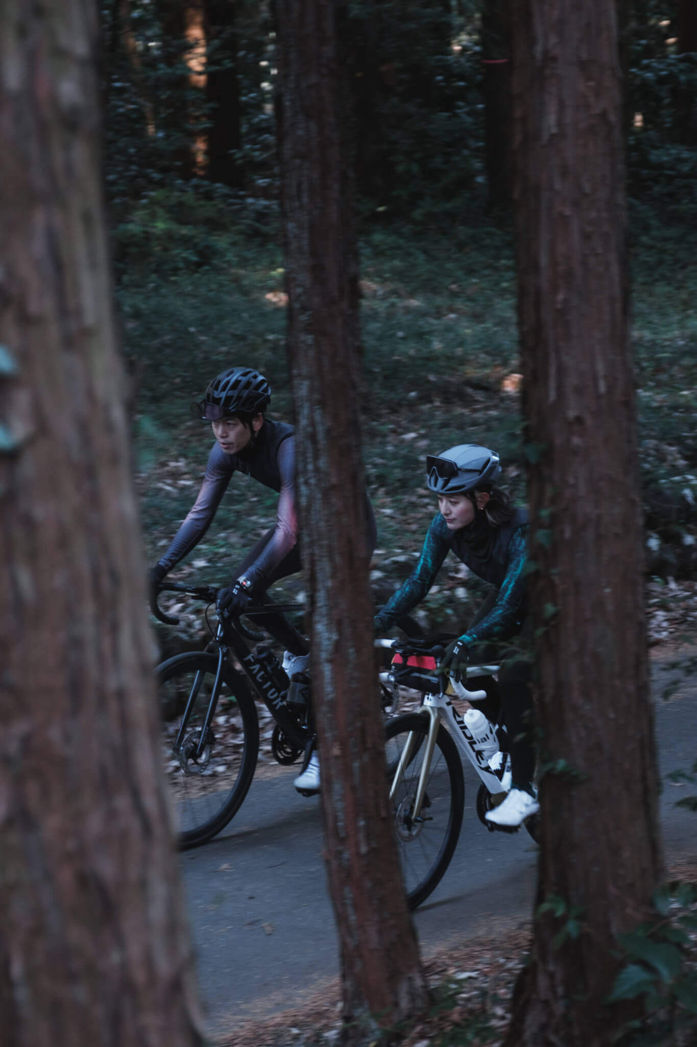 Universal Colours：深い色彩と、色褪せない普遍性の秋冬ウェア