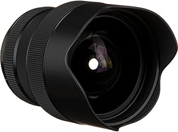 Amazon.com : Sigma 14-24mm f/2.8 DG HSM Art Lens for Nikon F, Wide