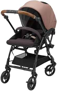 51-ESlXm0dL._AC_UF350,