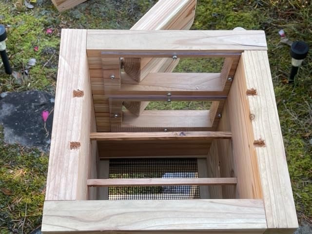 Amazon.co.jp: 日本みつばち用 飼育箱 重箱式巣箱 板厚35mm 観察窓3窓