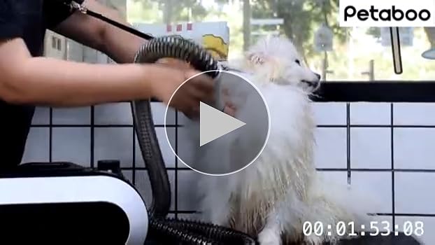 Amazon.co.jp: 犬 ドライヤー Petaboo ペットドライヤー 【ハイパワー