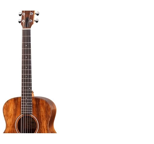 Amazon.com: Taylor GS Mini-e Solid Koa Top ESB w/Gig Bag with case