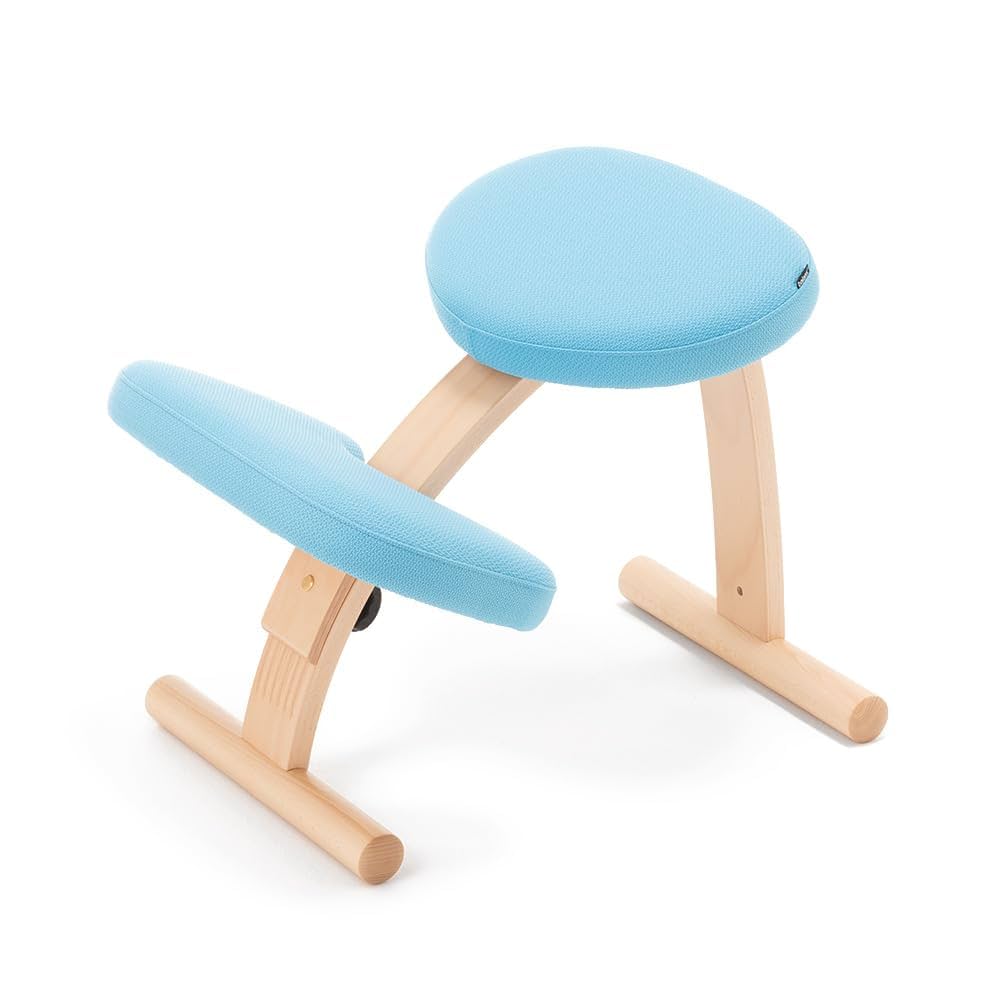 バランスイージー ショートフレーム カバー付き 【公式通販】