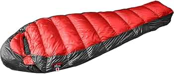 51uWMp+sp+L._AC_UF350,