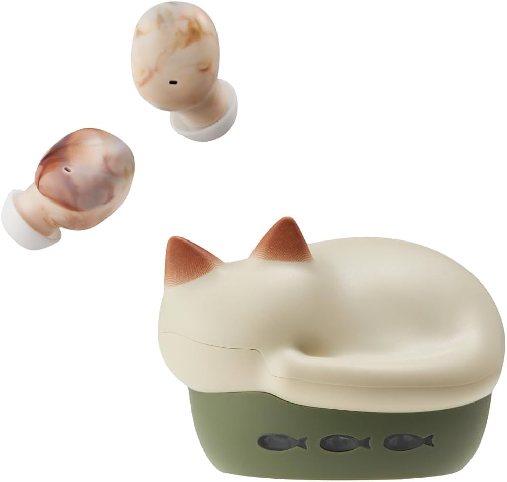 Amazon.co.jp: ラディウス radius HP-C28BT 完全ワイヤレスイヤホン