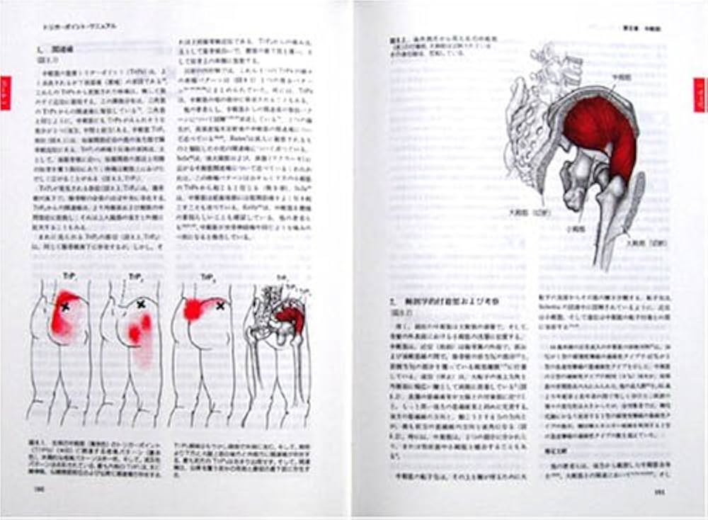 トリガーポイント・マニュアルIII IV | ジャネット・トラベル