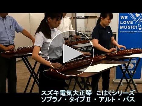 Amazon | SUZUKI スズキ 電気大正琴 こはくタイプⅡ | 大正琴 | 楽器