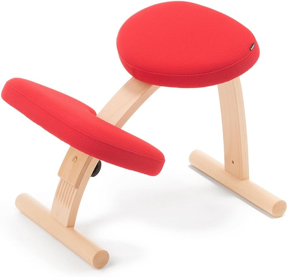 Amazon.co.jp: バランスラボ バランスイージー 通常フレーム 通常箱