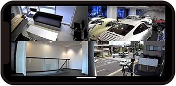 Amazon.co.jp: プラネックス Planex 防犯カメラ スマカメ Professional