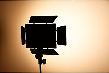 Amazon.com : Yongnuo YN600L II LED Panel Video Light, with