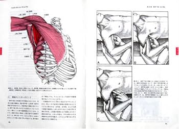 51J8YVZGR1L._AC_UF350,