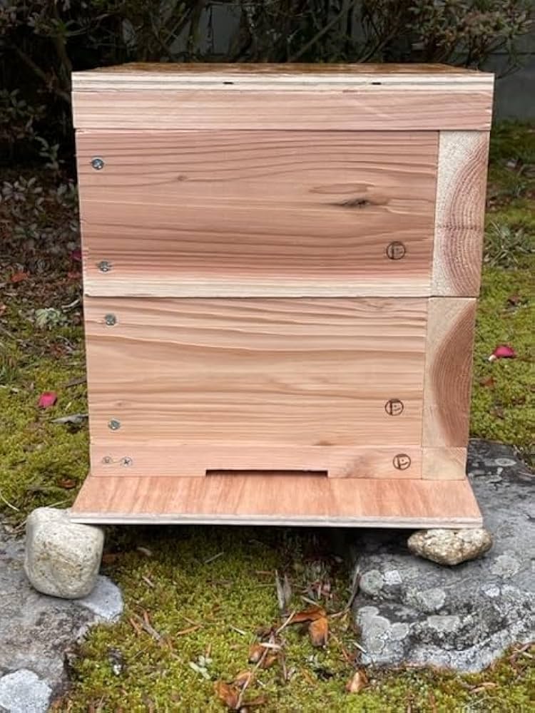 51JLBHik7oL._AC_UF894,