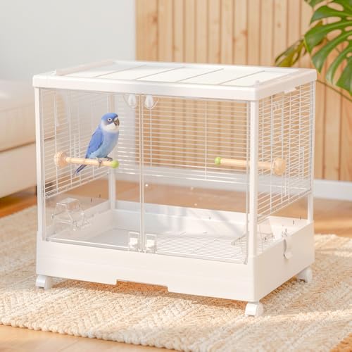 バードケージ」の人気商品一覧 | 安い商品を通販サイトから探す - 価格.com