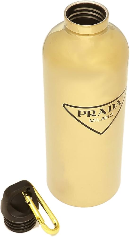 51gnWlGRmGL._AC_UF1000,