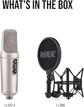 Amazon.com: Rode NT2-A Studio Solution Microphone, Silver, Wired