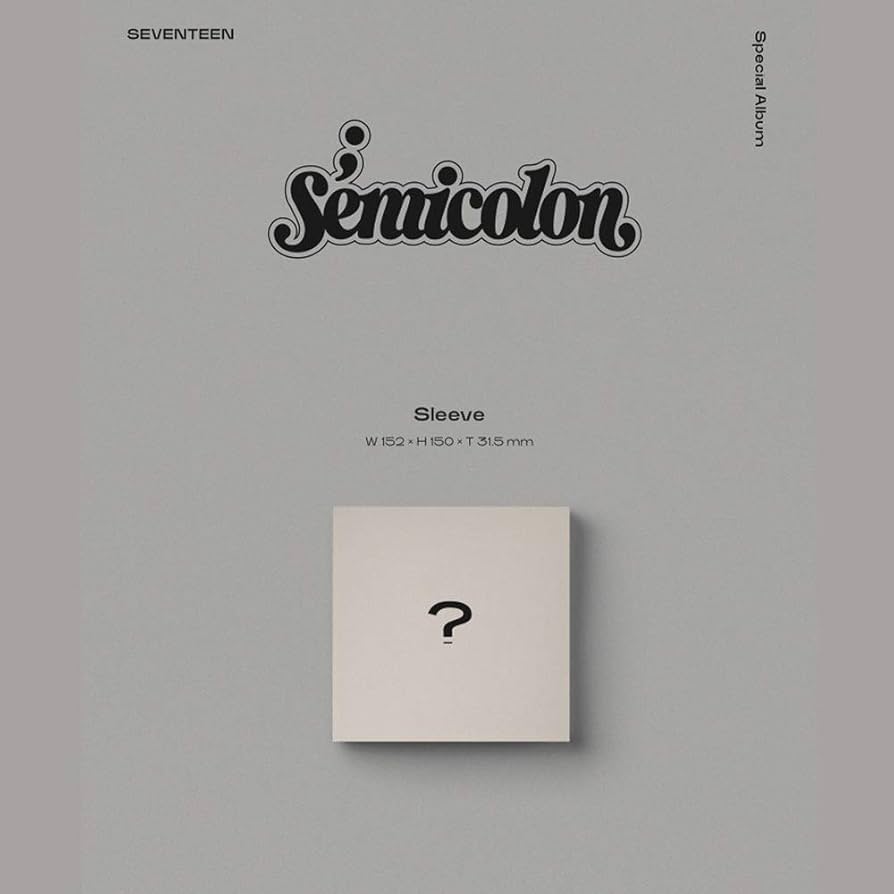 SEVENTEEN semicolon コンプセット（個人13 + 集合1） SEVENTEEN