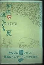 Amazon.co.jp: 飛火野 耀 - 文学・評論: 本