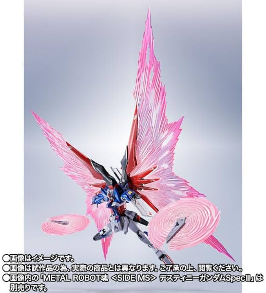 Amazon.co.jp: 輸送箱未開封 METAL ROBOT魂 ＜SIDE MS＞ デスティニー