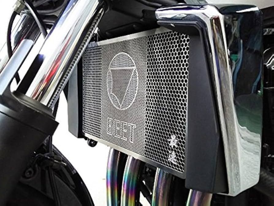 Amazon | ビートジャパン ラジエターガード(シルバー) ZRX1200 DAEG