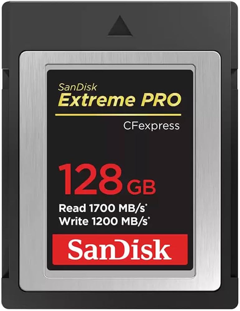 Amazon.com: SanDisk Extreme PRO 128GB CFexpress Type-B Memory Card