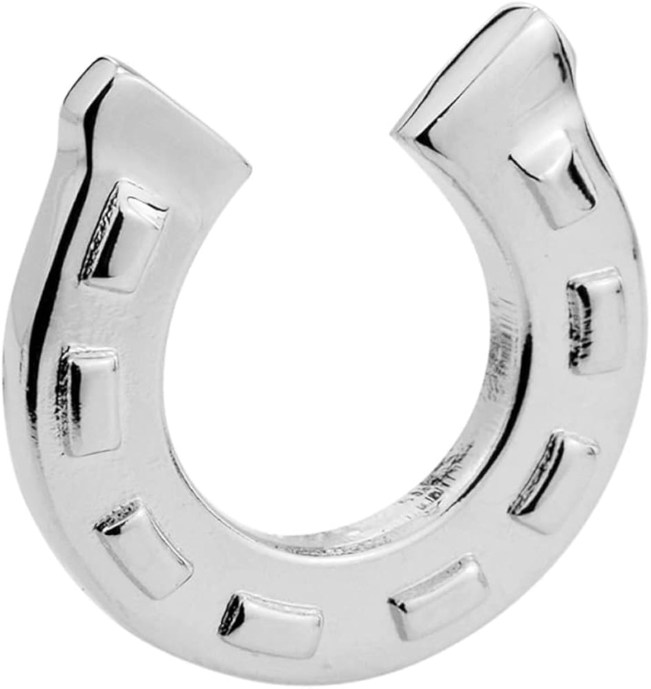 Amazon | 蹄鉄 馬蹄 幸運のお守り ピンズ ラペルピン pin029