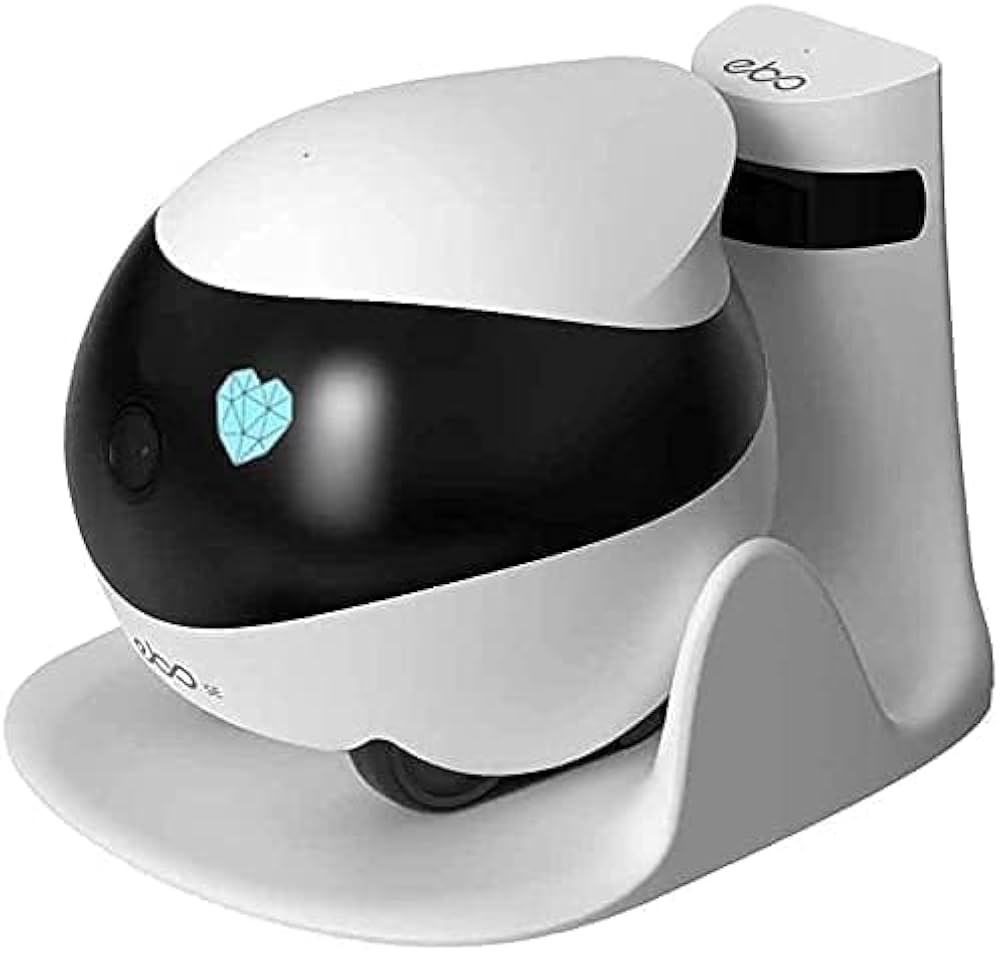 41uSHEPFwJL._AC_UF1000,