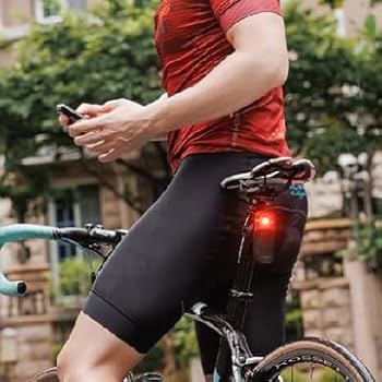 Amazon.co.jp: BRYTON ブライトン ガーディア Gardia R300L リアビュー