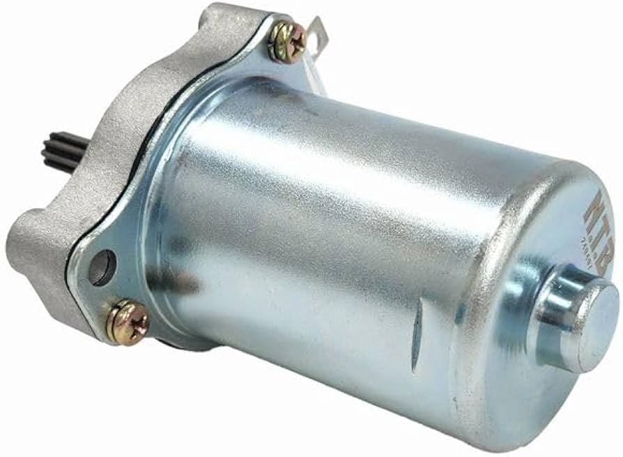 せるがおん 4枚セット せるがおん 4枚 せるがおん 4枚 せるがおん 4枚