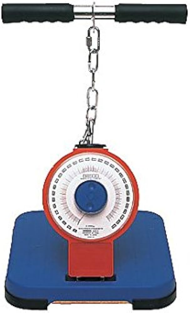 Amazon.co.jp: 竹井機器工業 背筋力計[バックA] TKK5002 : スポーツ