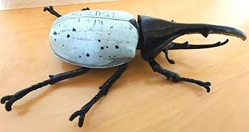 Amazon | ヘラクレスリッキーブルー ムシキング 大きい 昆虫