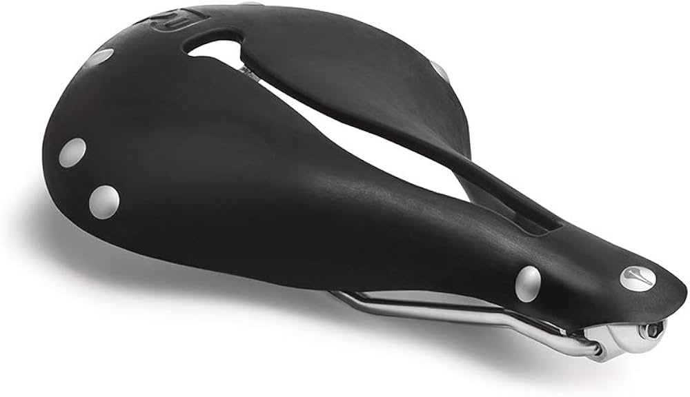 Amazon | Selle Anatomica(セラ・アナトミカ) R2 - ブラックシルバー