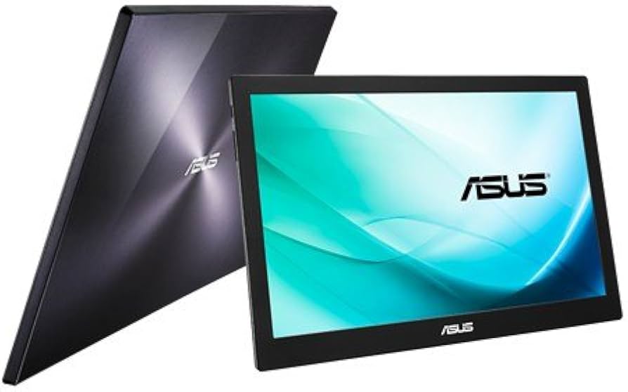 Amazon.com: ASUS MB169B+ 15.6