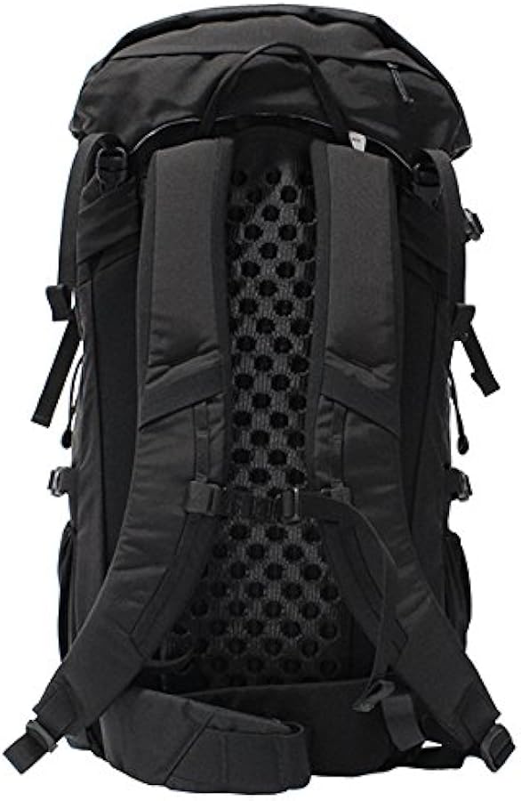 Amazon | [アークテリクス] ARCTERYX BRIZE 32 ブライズ バックパック