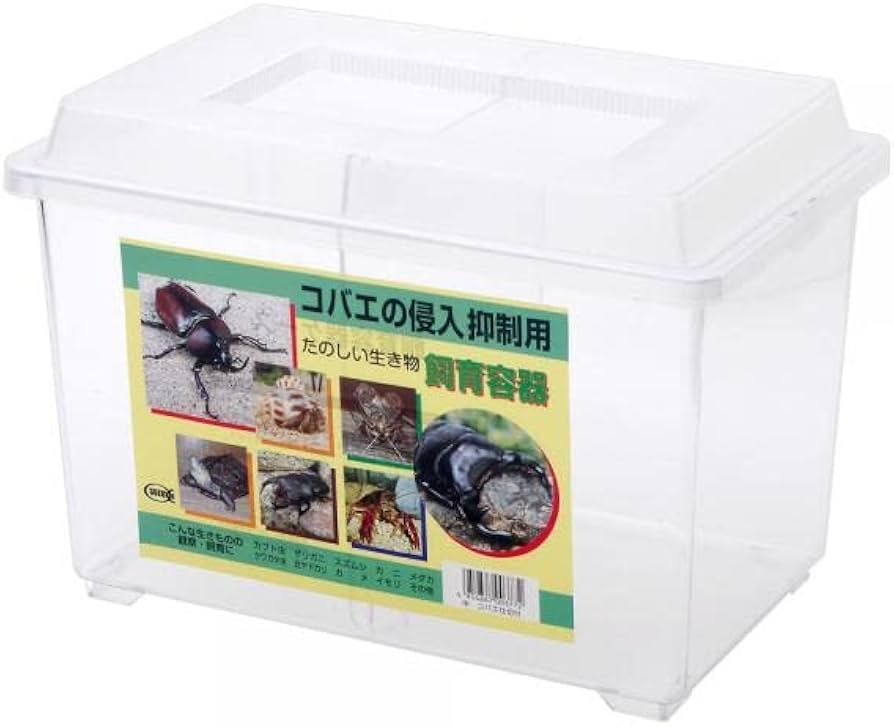 Amazon | コバエの侵入抑制用 たのしい生き物 飼育容器 中 仕切りつき