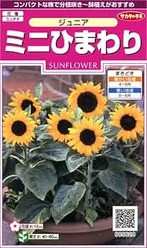 716bB89f43L._AC_UF350,