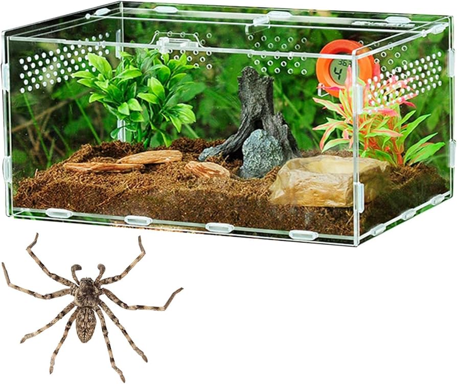 Amazon.co.jp: アクリル爬虫類飼育箱 | 飼育ボックス タンク 明確な