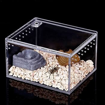 Amazon | PUERI 爬虫類 飼育ケース 飼育容器 爬虫類 ケージ 透明